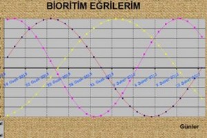 Excel bioritim