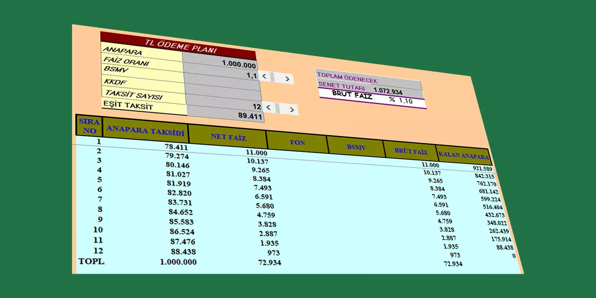 Excel bireysel kredi