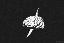 Beyin ölümü