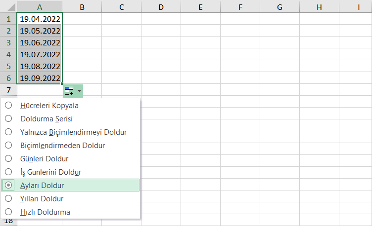 Excel otomatik tarih doldurma