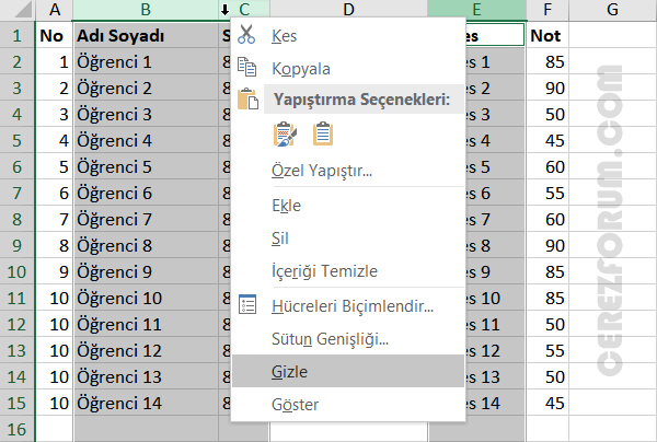 Excel birden çok sütun seçme